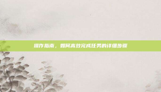 操作指南，如何高效完成任务的详细步骤