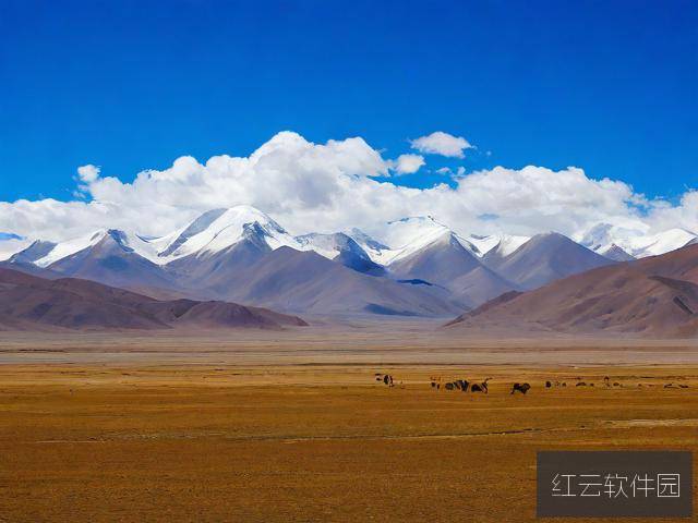 可可西里美丽传说,自然与信仰的圣洁之地