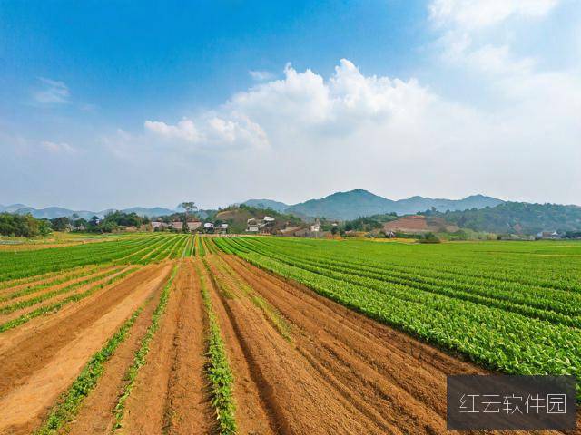 麻豆精产国品一二三产区，品质与文化的完美融合