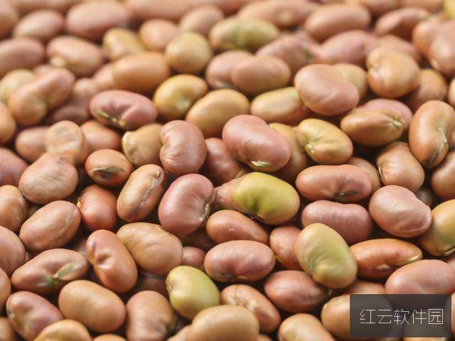 麻豆精产国品一二三产区别解析,产业分类与发展路径